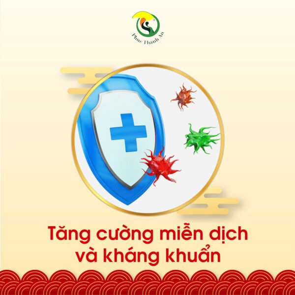 468331794_122107640912622291_7523324480634757948_n