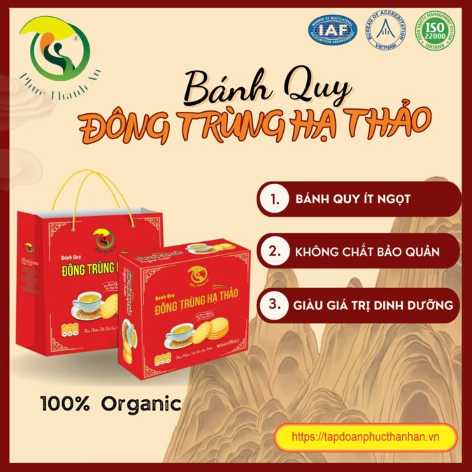Banner_BanhQuy_Đongtrunghathao_1