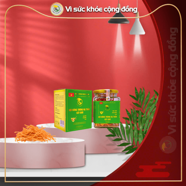 Sợi đông trùng hạ thảo sấy khô 10g PTA-1SDT10G
