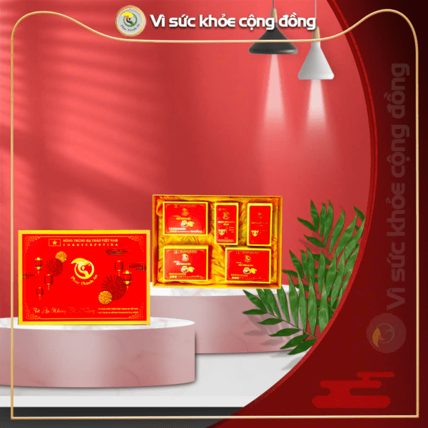 Hộp quà tết đỏ 2 hộp sợi + 3 hộp bánh PTA01