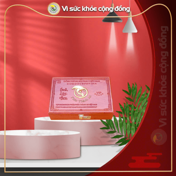 Sinh lực đang hộp gỗ cao cấp logo mạ vàng 150 viên PTA-SLD150V