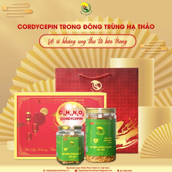 cordycepin-trong-dong-trung-ha-thao