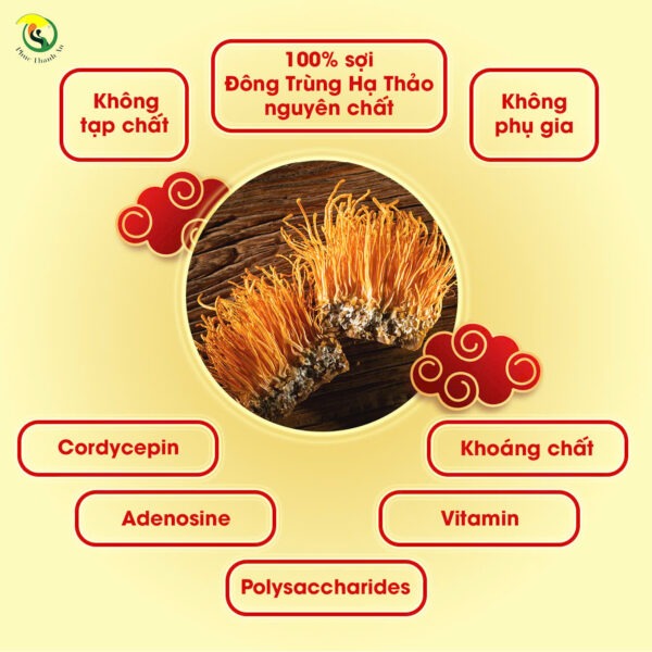 soi-dong-trung-ha-thao-tinh-hoa-tu-thien-nhien-2