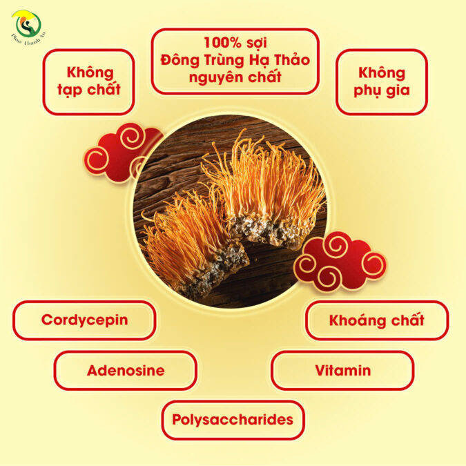 soi-dong-trung-ha-thao-tinh-hoa-tu-thien-nhien-2